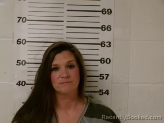 Mugshot of JAMIE LEIGH MCKINLEY booked in Henderson County, Texas on March 27, 2026