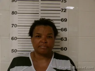 Mugshot of TAMMY LAKENIA HAMBRICK booked in Henderson County, Texas on March 27, 2026