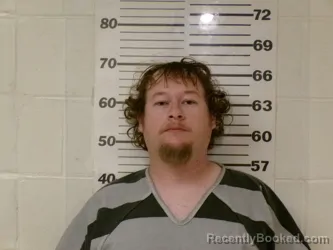 Mugshot of DILLAN LEE BOW booked in Henderson County, Texas on March 28, 2026