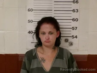 Mugshot of RACHEL ELIZABETH HIGGS booked in Henderson County, Texas on March 29, 2026