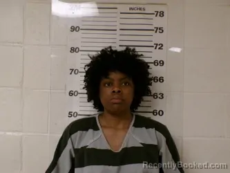 Mugshot of BELVA PATRICE CLARK booked in Henderson County, Texas on March 30, 2026