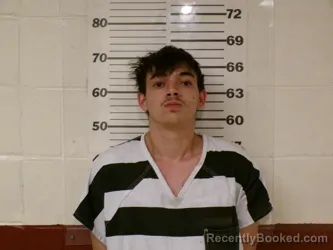 Mugshot of MATTHEW GLEN STONE booked in Henderson County, Texas on March 30, 2026