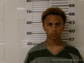 Mugshot of DOMINIC LEE WALKER booked in Henderson County, Texas on April 1, 2026