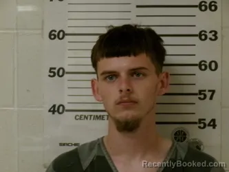 Mugshot of ROBERT WORLEY booked in Henderson County, Texas on April 1, 2026