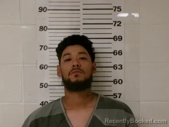 Mugshot of Jose Francisco Saucedo booked in Henderson County, Texas on April 1, 2026