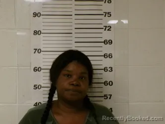 Mugshot of KIERRA NASHAE CLARK booked in Henderson County, Texas on April 2, 2026