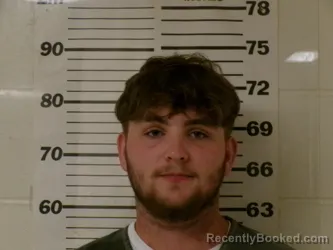 Mugshot of JOHNNY KATO WHITWORTH booked in Henderson County, Texas on April 3, 2026