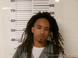 Mugshot of DEION RAY REED booked in Henderson County, Texas on April 3, 2026