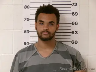 Mugshot of ADRIAN JAMANE WILLIAMS booked in Henderson County, Texas on April 4, 2026