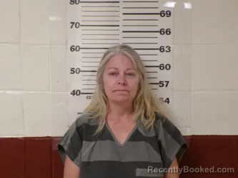Mugshot of TONIA MARIE MCMIKEL booked in Henderson County, Texas on April 4, 2026
