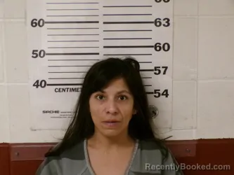 Mugshot of MELINA IBARRA booked in Henderson County, Texas on April 4, 2026