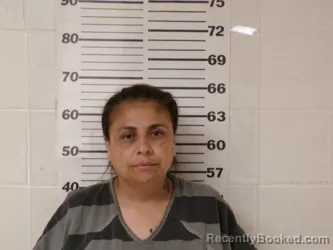 Mugshot of MONICA GARCIA booked in Henderson County, Texas on April 8, 2026
