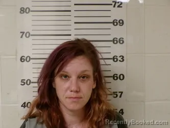 Mugshot of BROOKE JEANETTE PARKS booked in Henderson County, Texas on April 23, 2026