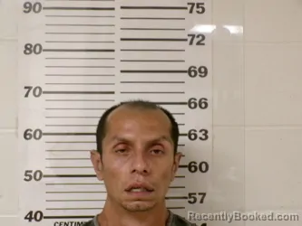 Mugshot of REFUGIO GILBERT MOJARRO AVILA booked in Henderson County, Texas on April 24, 2026