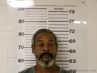 Mugshot of PLANGIMAN ROCHELLE HENRY booked in Henderson County, Texas on April 24, 2026