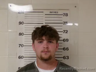 Mugshot of JOHNNY KATO WHITWORTH booked in Henderson County, Texas on April 24, 2026