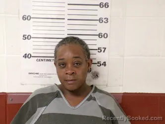 Mugshot of YOLANDA GALE PATTON booked in Henderson County, Texas on April 24, 2026