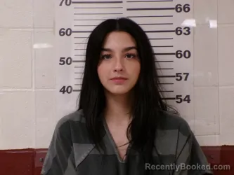 Mugshot of KALLIE DEVRON PENNY booked in Henderson County, Texas on April 25, 2026