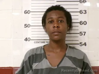 Mugshot of SAKEENA LYNETTE WOMACK booked in Henderson County, Texas on April 29, 2026