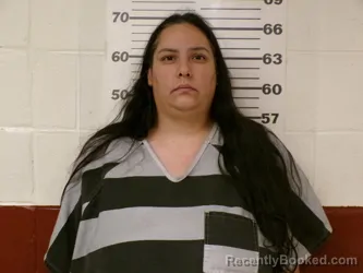 Mugshot of Cynthia Hernandez booked in Henderson County, Texas on May 4, 2026
