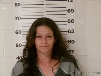 Mugshot of CHAVON NICHOLE WILCOXSON booked in Henderson County, Texas on May 8, 2026