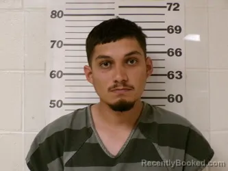 Mugshot of LUIS ALEJANDRO MARTINEZ booked in Henderson County, Texas on May 16, 2026