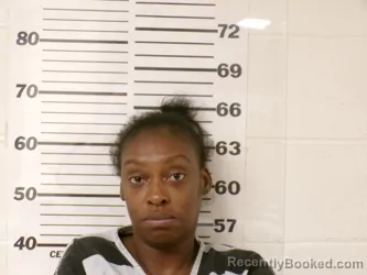 Mugshot of TAQUISHA LAMETRICE HOUSTON booked in Henderson County, Texas on May 16, 2026