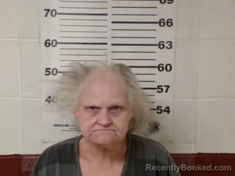 Mugshot of DEBORAH JENE LILE booked in Henderson County, Texas on May 21, 2026