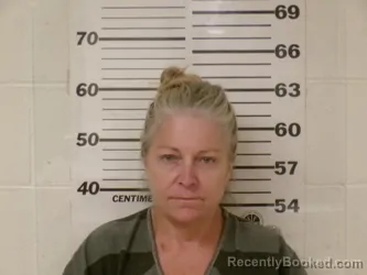 Mugshot of TONIA MARIE MCMIKEL booked in Henderson County, Texas on May 25, 2026