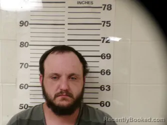 Mugshot of SCOTTIE GAYLON JOHNSTON booked in Henderson County, Texas on June 28, 2026