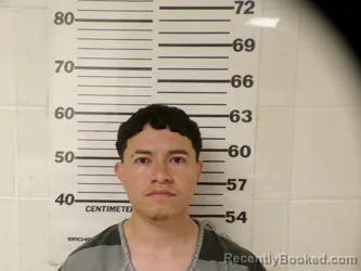 Mugshot of Rodrigo Villegas-Puga