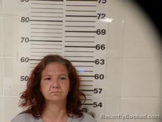 Mugshot of Melissa Anne Woodward booked in Henderson County, Texas on August 13, 2026