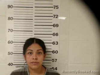 Mugshot of Veronica Castaneda booked in Henderson County, Texas on September 20, 2026
