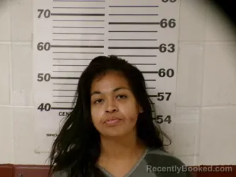 Mugshot of Cynthia Ann Sevilla booked in Henderson County, Texas on September 25, 2026