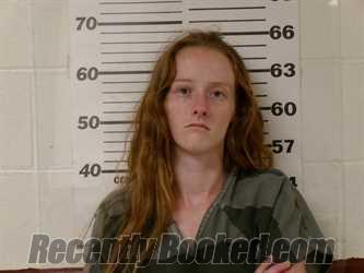 Booking photo from Henderson County, Texas