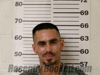 Booking photo from Henderson County, Texas