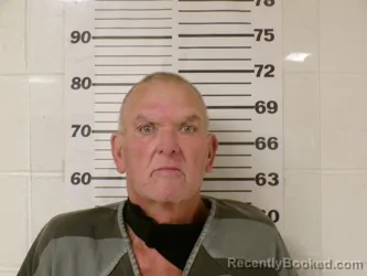 Booking photo from Henderson County, Texas