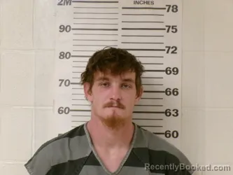 Booking photo from Henderson County, Texas