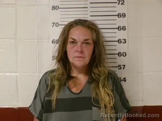 Booking photo from Henderson County, Texas