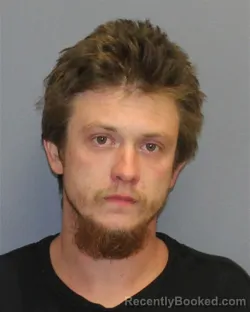 Mugshot of CASEY LEE MORRISON