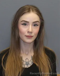 Mugshot of CHRISTINA DIVINE SHANDY