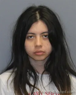 Mugshot of YELSI MARIANA MENDEZ CHICAS