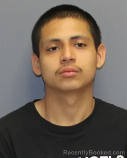 Mugshot of MAYNOR FABIEN RODRIGUEZ CASTRO