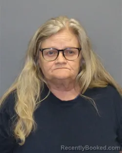 Mugshot of THERESA LYNN HODGSON booked in Winchester County, Virginia on April 6, 2026