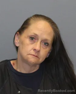 Mugshot of MANDY SUE PAYNE booked in Winchester County, Virginia on April 7, 2026