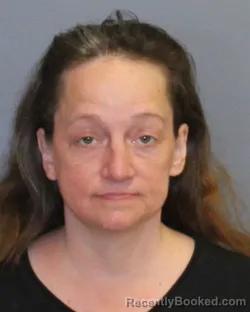 Mugshot of LORI ANN ELLISON booked in Winchester County, Virginia on April 14, 2026