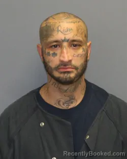 Mugshot of RICHARD ANTHONY POMENTA booked in Winchester County, Virginia on April 28, 2026