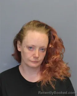Mugshot of ASHLEY MARIE DIXON booked in Winchester County, Virginia on May 2, 2026