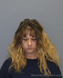 Mugshot of BRANDY MICHELE MCBRIDE booked in Winchester County, Virginia on May 4, 2026