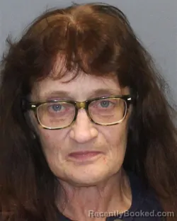 Mugshot of DEBORAH GRACE WILLIAMS booked in Winchester County, Virginia on May 4, 2026